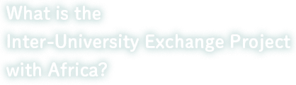 What is the Inter-University Exchange Project with Africa?