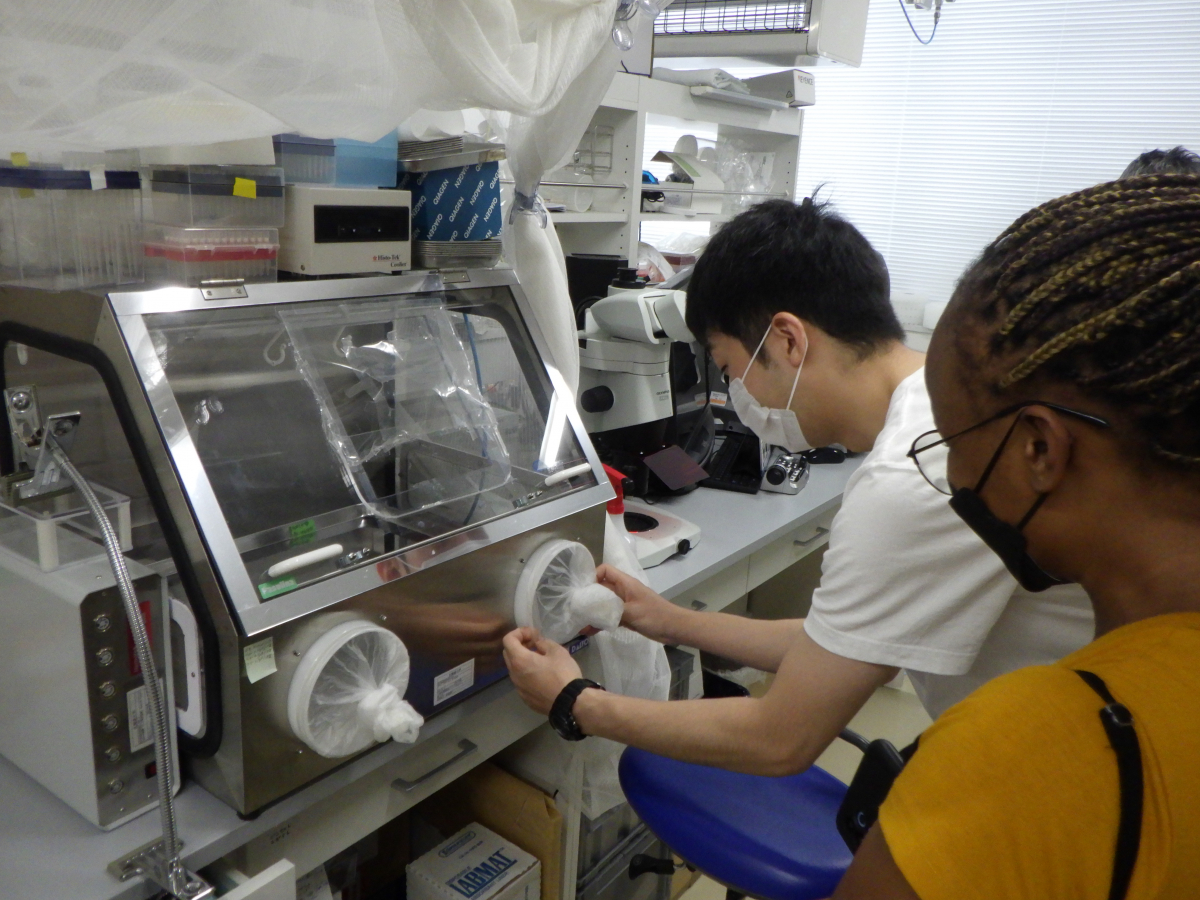 Zambian IVCMEP Students Visited Hokkaido, Japan International